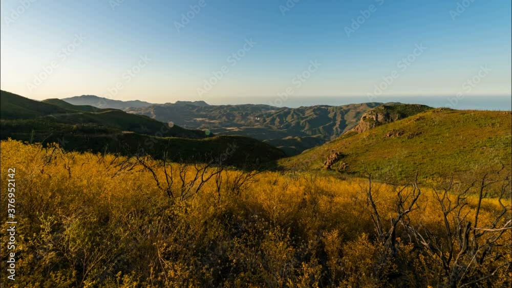  Timelapse tracking shot of morning light on dead trees in wildflowers at wildfire burn site in Malibu, California