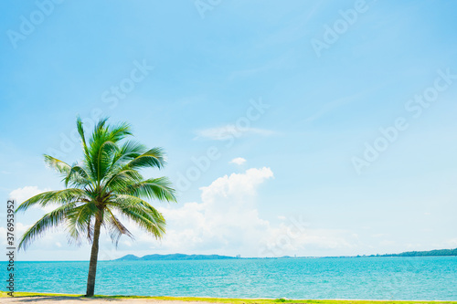 Beach and coconut palm tree with blue sky