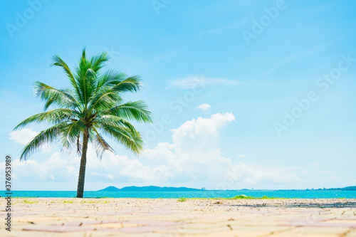 Beach and coconut palm tree with blue sky