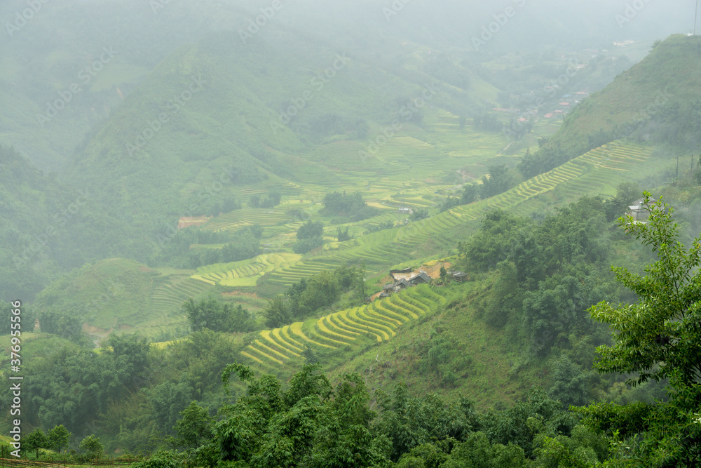 Green valley of Vietnam with rice fields covered by mist