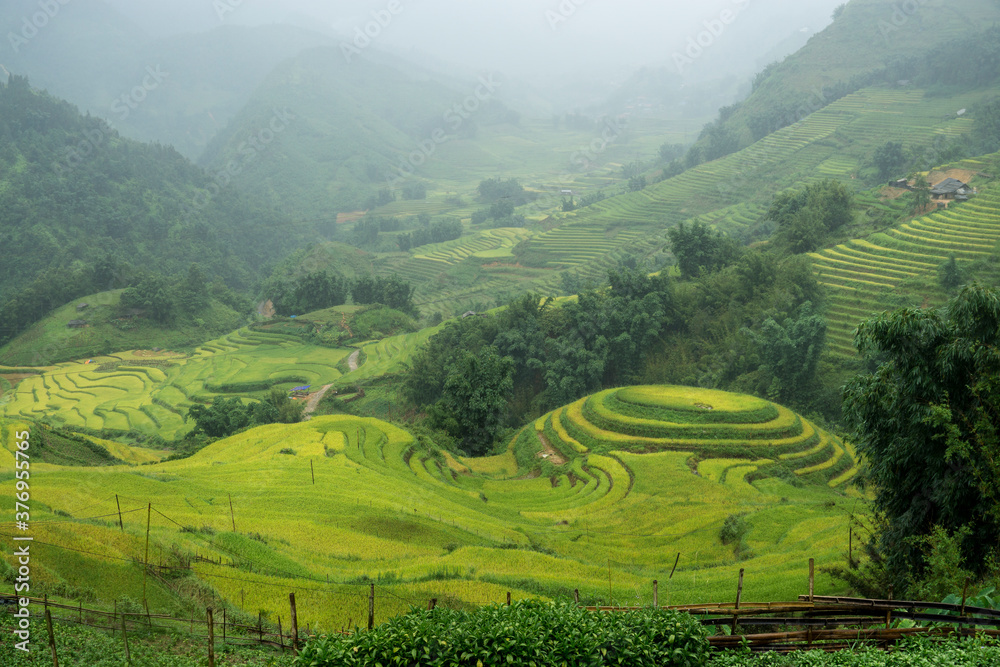 Round rice field in a green valley of Vietnam