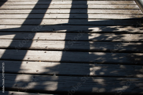 Wallpaper Mural Shadows in the ground Torontodigital.ca