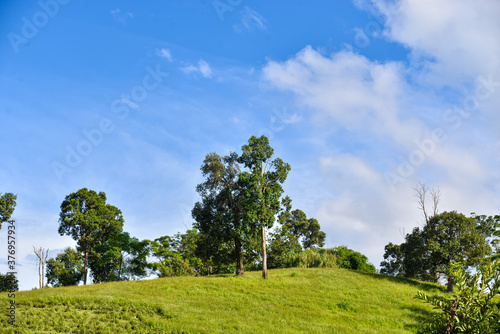 Views of mountains, hills, trees and clouds
