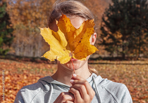 Teenage girl covering face with yellow maple leaf in autumn outdoor environment  front view closeup portrait of young adult