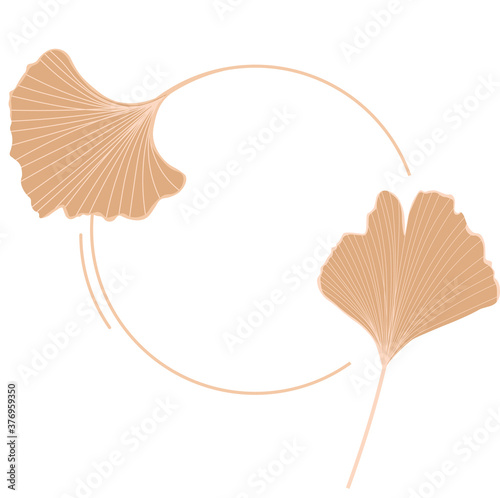 Vector stock illustration of gingko leaf icons for storis. Pastel poster for a wedding invitation. Gentle botany. gingko biloba gold color close-up. Isolated on a white background.