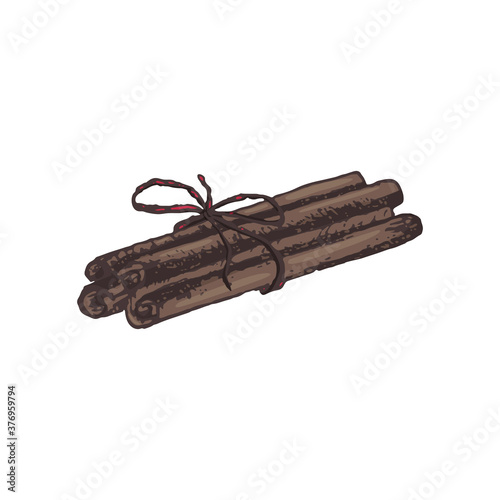 Vector illustration of tied cinnamon sticks drawn by hand. Cinnamon is a New Year's seasoning, aromatic spice.