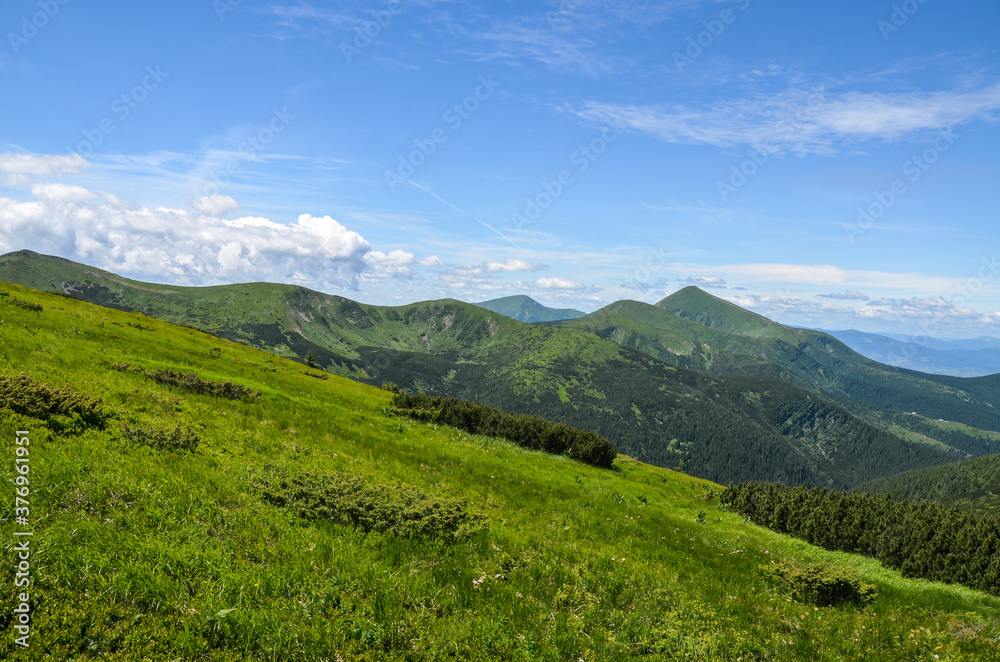 Beautiful scenery of Chornohora ridge. Hills and valley of summer mountain landscape in Carpathians, Ukraine