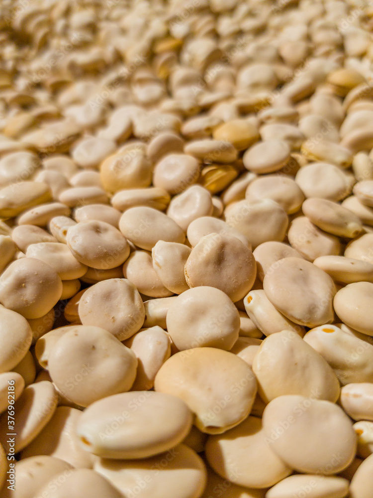 Lupins harvested and fresh out of their pods, dried in the sun. Ready to clean and select. Grown in Extremadura, Spain. Superfood of the Mediterranean diet. Lupins harvested and fresh out of their pods, dried in the sun. Ready to clean and select. Grown in Extremadura, Spain. Superfood of the Mediterranean diet.