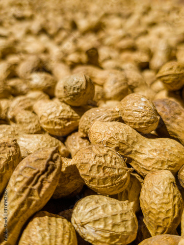 Large quantity of peanuts in pod, freshly harvested, dried in the sun. Ready to toast and select. Arachis Hypogaea, goober, pindar or nut.
Background, macro, close up. Grown in Extremadura, Spain.