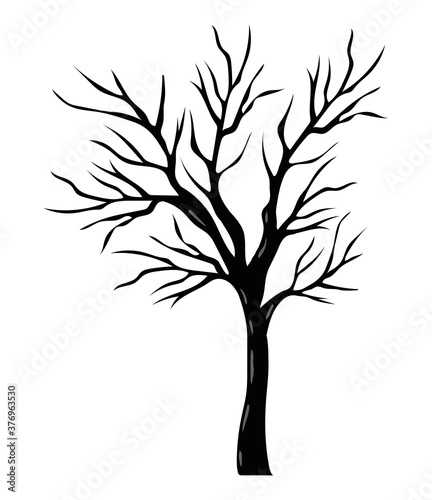 Isolated bare tree vector design © grgroup