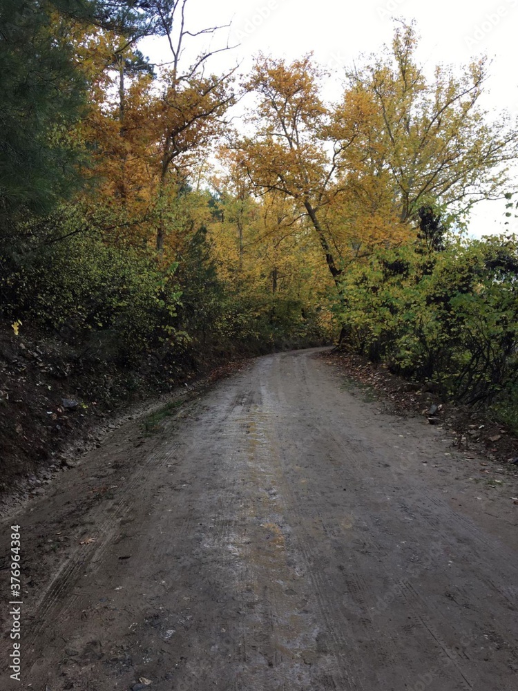 Fototapeta premium Beautiful natural road from Turkey