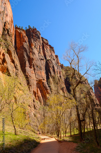 Beautiful scenery in Zion National Park located in the USA in southwestern Utah.