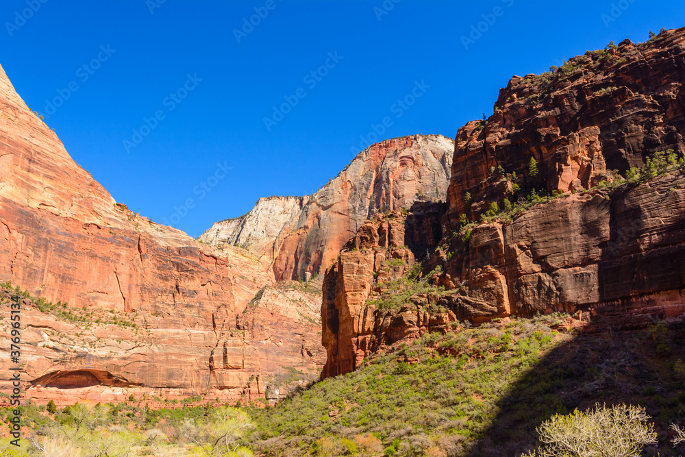 Beautiful scenery in Zion National Park located in the USA in southwestern Utah.