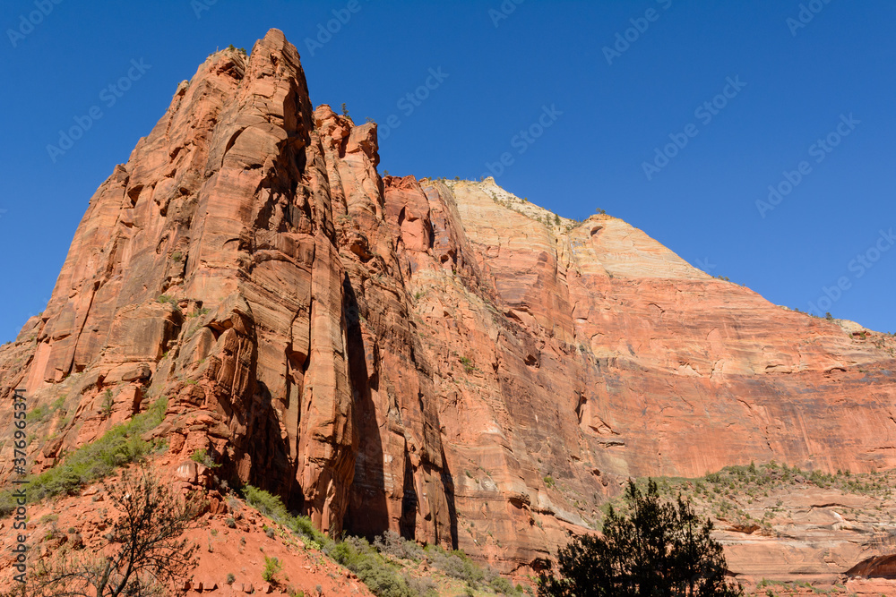 Beautiful scenery in Zion National Park located in the USA in southwestern Utah.