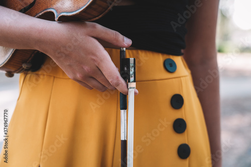 Schilderij op canvas violin