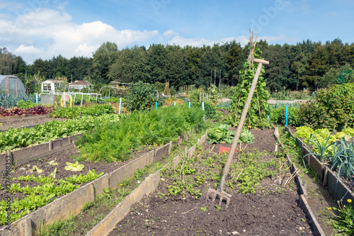 Dutch allotment garden in autumn with garden equipment