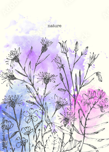 Hand drawn line art and watercolor stain floral background