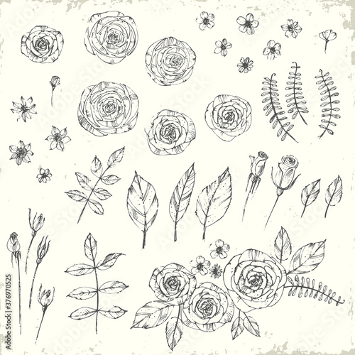 Hand drawn line art flowers