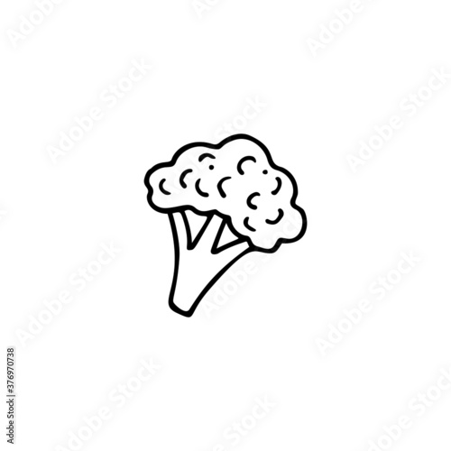 Hand drawn vector illustration of broccoli. Element for your cards, posters, stickers and seasonal design.