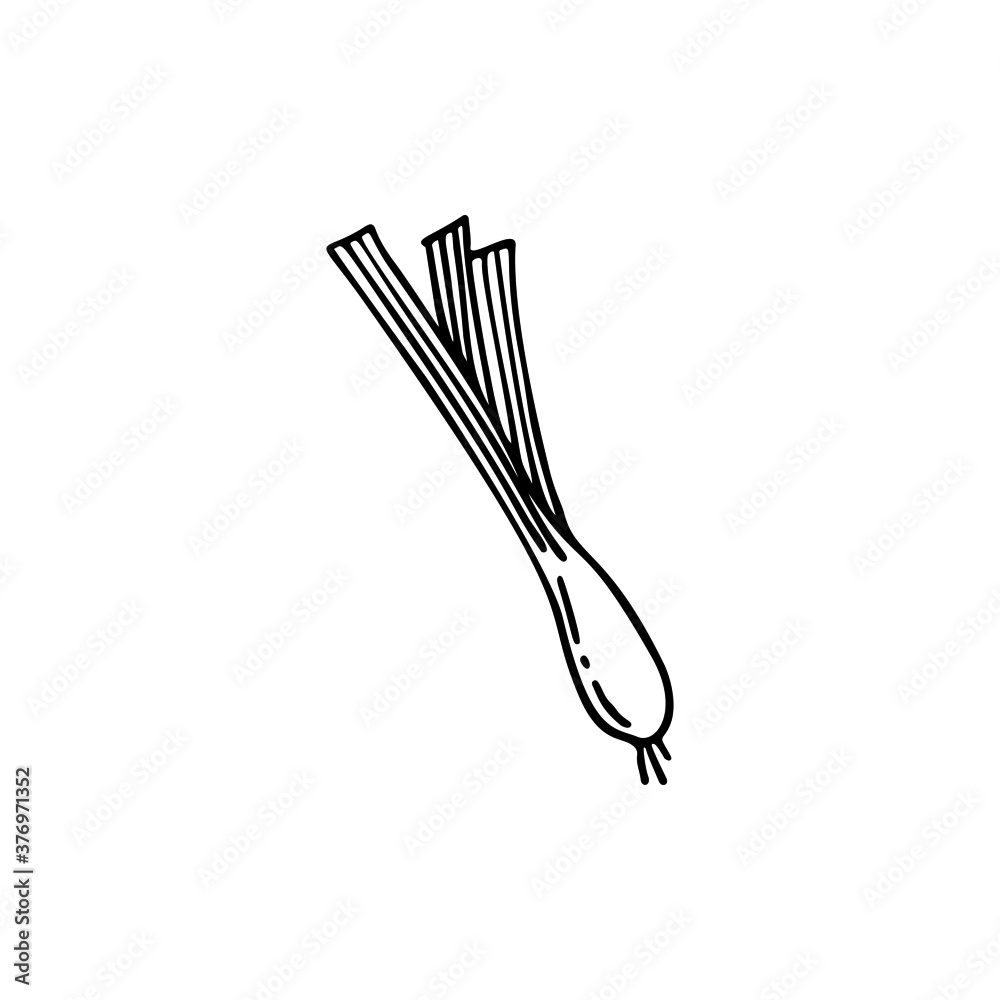 Hand drawn vector illustration of leek. Element for your cards, posters, stickers and seasonal design. Hand drawn vector illustration of leek. Element for your cards, posters, stickers and seasonal design.