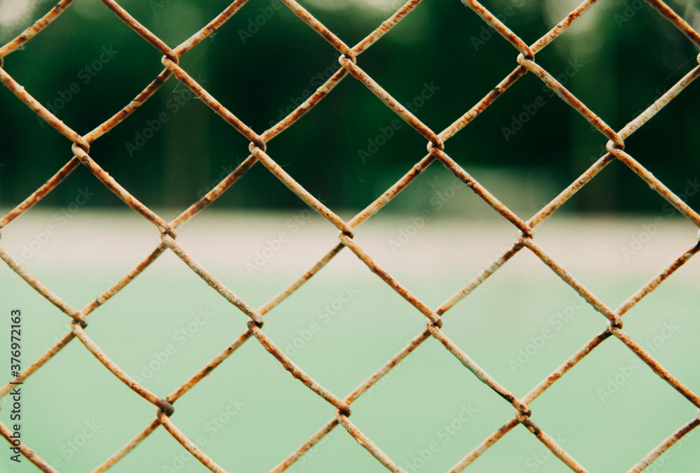 Fototapeta premium link fence with green grass