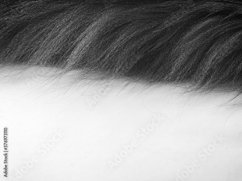 black hair background