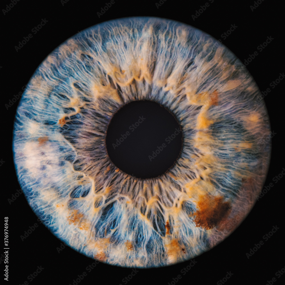 blue eye iris - obrazy, fototapety, plakaty 