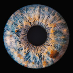 Acrylglasbilder Themen Blaue Iris Blüte in Nahaufnahme  © Lorant