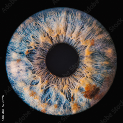 Fotografie, Obraz blue eye iris