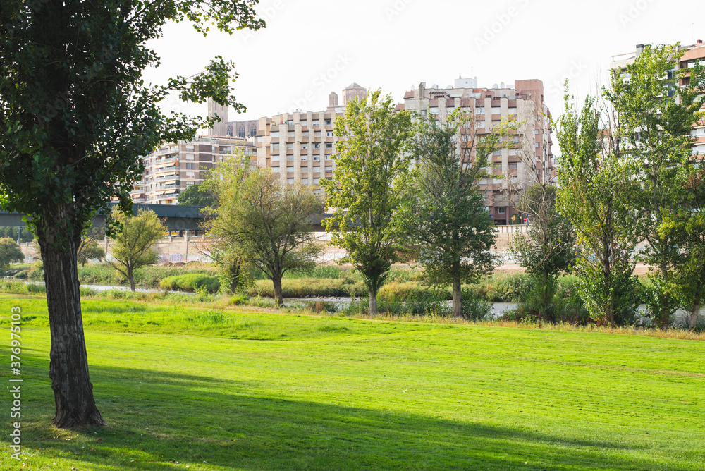 Park in summer with the city in the background. Park in summer with the city in the background.