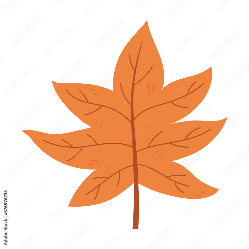 autumn leaf foliage botanical isolated icon style autumn leaf foliage botanical isolated icon style