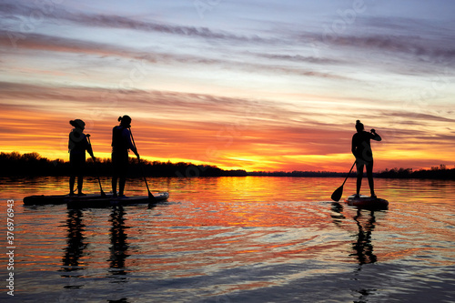 Fototapeta Naklejka Na Ścianę i Meble -  SUP silhouettes of people standing with a paddle on paddle on stand up paddle boarding (sup) at sunset on the river
