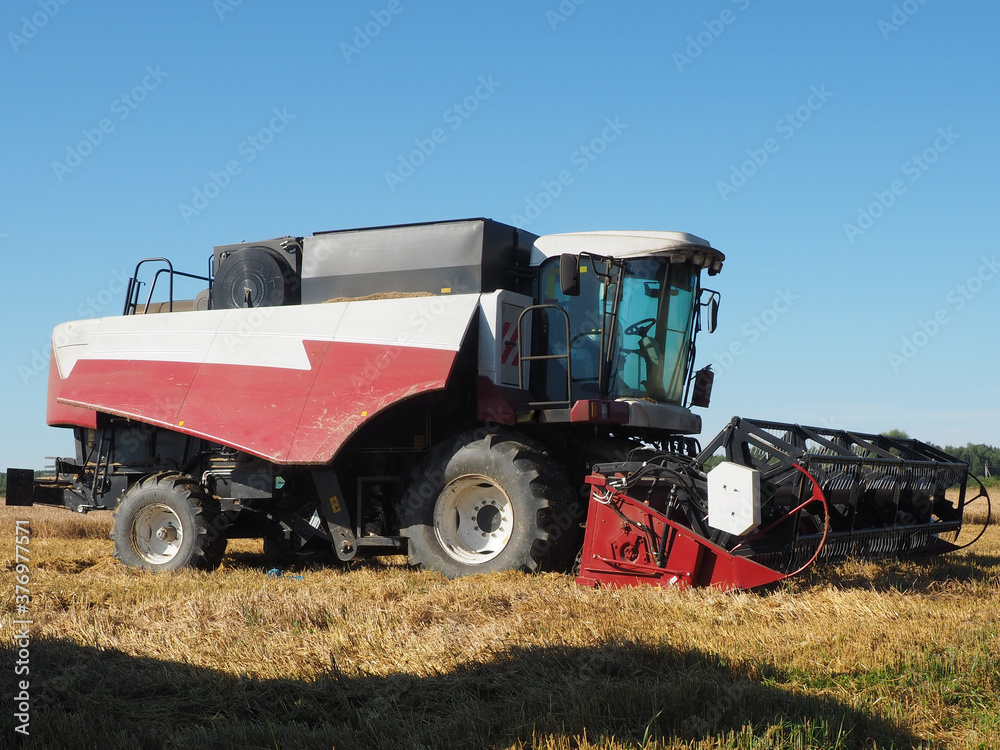 Obraz premium the combine-harvester for harvesting grain crops. harvesting barley. farm. large agricultural machinery.