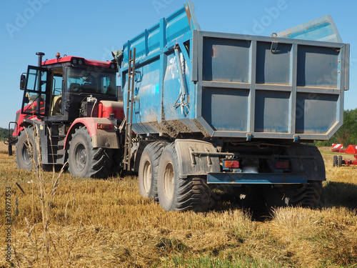 tractor with trailer. For collecting grain crops. harvesting barley. farm. large agricultural machinery.
