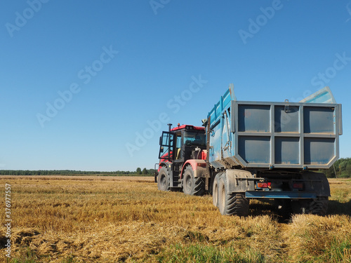 tractor with trailer. For collecting grain crops. harvesting barley. farm. large agricultural machinery.