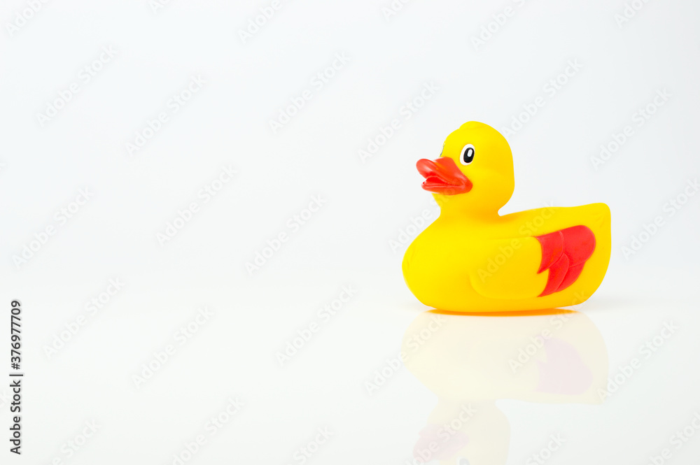 Yellow rubber duck with brown wings Yellow rubber duck with brown wings