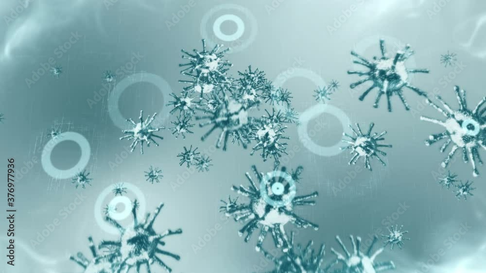Healthcare protection shield. Medical immune system concept. Bacteria and virus defense. Protect. Antibacterial. Resistance antimicrobial. Loop animation.