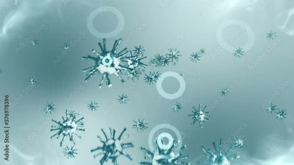 Healthcare protection shield. Medical immune system concept. Bacteria and virus defense. Protect. Antibacterial. Resistance antimicrobial. Loop animation. Healthcare protection shield. Medical immune system concept. Bacteria and virus defense. Protect. Antibacterial. Resistance antimicrobial. Loop animation.