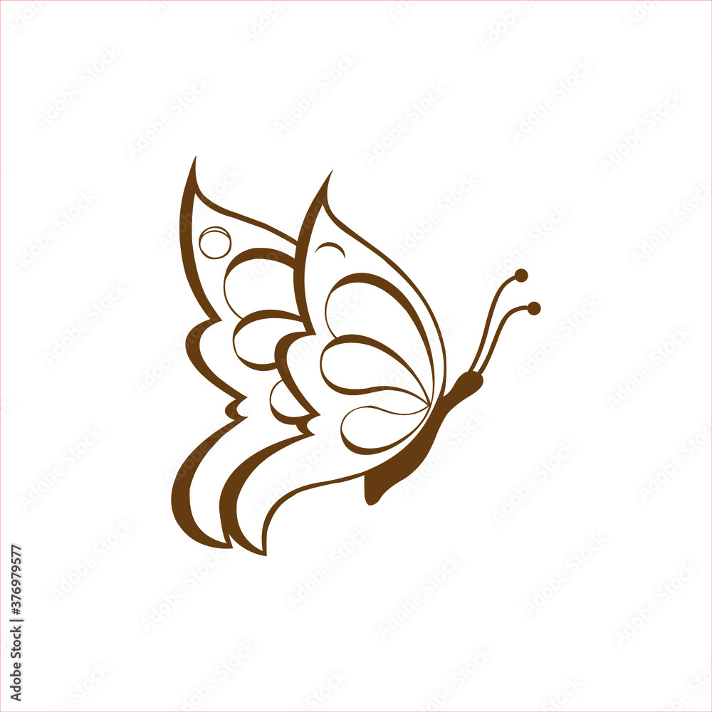 vector illustration of a butterfly vector illustration of a butterfly