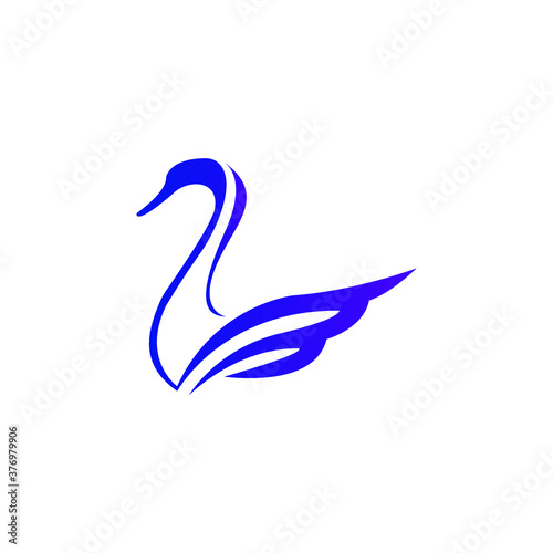 swan on white background