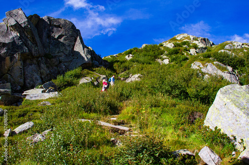 Sentiero Segantini photo