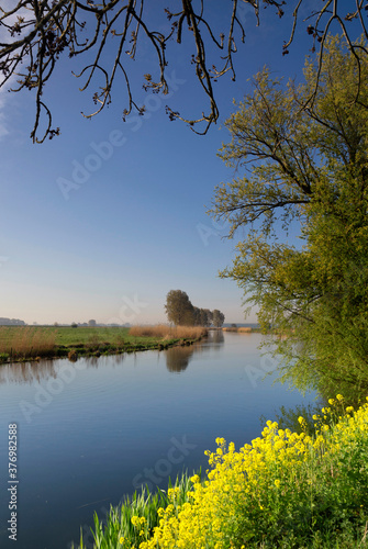 Rapeseed on the bank of the Bakkerskil photo