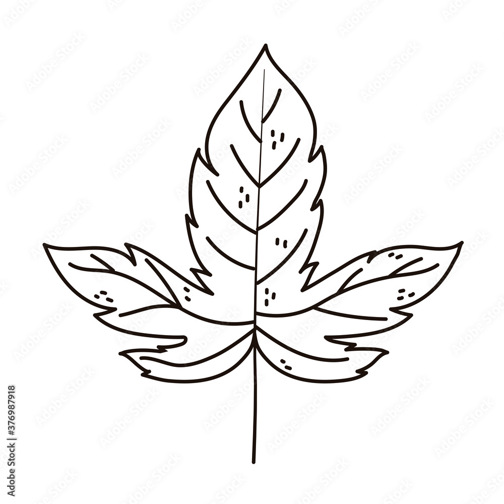 autumn maple leaf foliage isolated icon line style autumn maple leaf foliage isolated icon line style