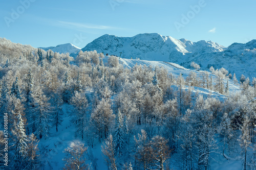 Frozen forest trees on top of mountain with skiing resort photo