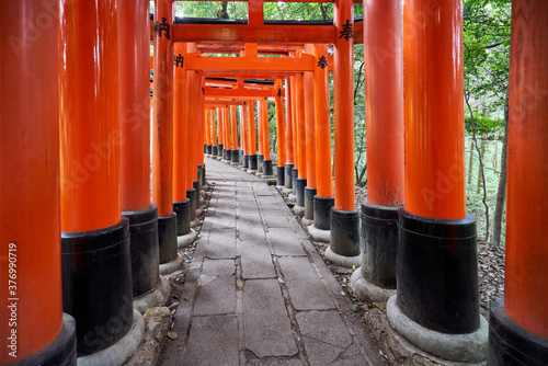 Japan, Honshu, Kyoto, Fushimi Inari-taisha, Torii japanese gates photo