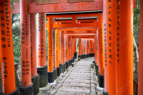 Japan, Honshu, Kyoto, Fushimi Inari-taisha, Torii japanese gates photo