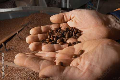 primer plano de manos curtidas de trabajador con café en grano tostado de fondo maquina tostadora photo