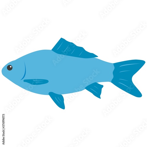 Vector illustration  isolated fish on a white background. Simple flat style.