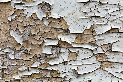 Many layers of old cracked white paint peeling off from wooden wall texture background