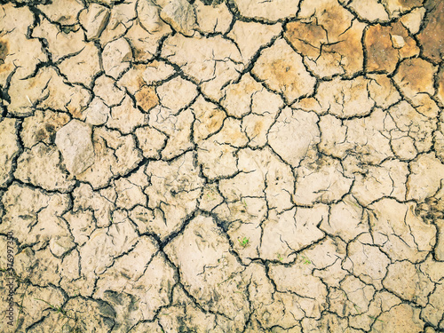 Dehydrated and cracked earth surface by the drought